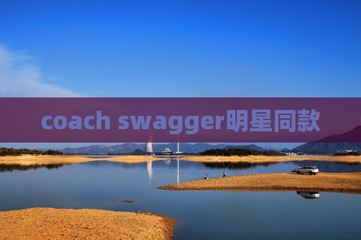 coach swagger明星同款